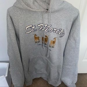 Brandy Melville St Moritz Hoodie